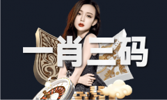 精准一码材料2024