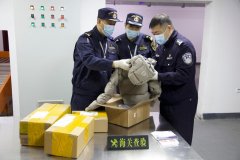 <b>大连海关破获一路特大私运服拆案 总案值超7亿元</b>